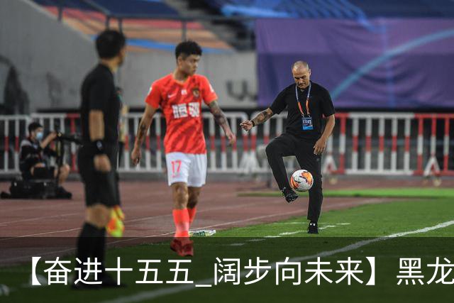 【奋进十五五 阔步向未来】黑龙江农机产业正加速迈向高端化智能化绿色化